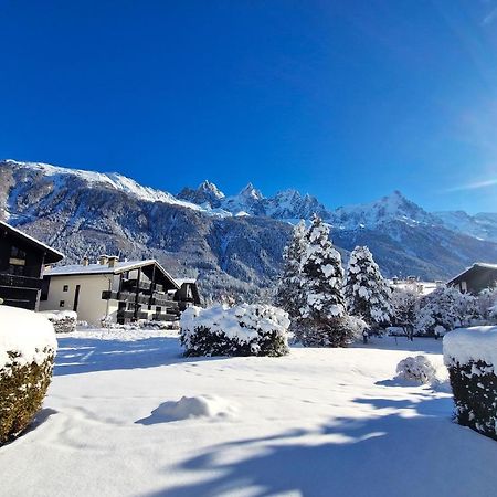 Chamonix Appartement Vue Mont Blanc Avec Jardin 외부 사진