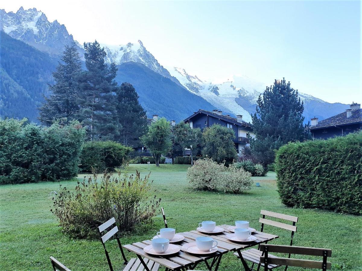 Chamonix Appartement Vue Mont Blanc Avec Jardin 외부 사진