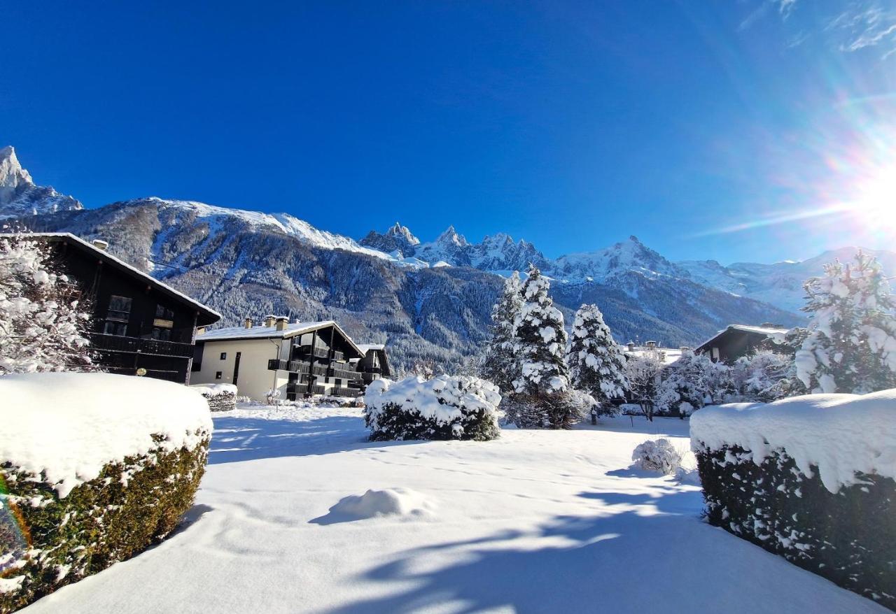 Chamonix Appartement Vue Mont Blanc Avec Jardin 외부 사진